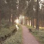 Herzhausen Im Harz - Dein Schwedenhaus Fuer 10 Personen בית נופש אלטנאו