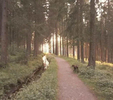 Herzhausen Im Harz - Dein Schwedenhaus Fuer 10 Personen Feriehus Altenau (Lower-Saxony)