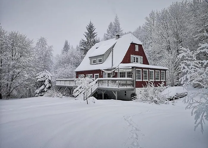 Herzhausen Im Harz - Dein Schwedenhaus Fuer 10 Personen Feriehus Altenau (Lower-Saxony)